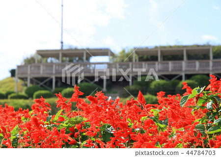 花季十月 花季十月 44784703