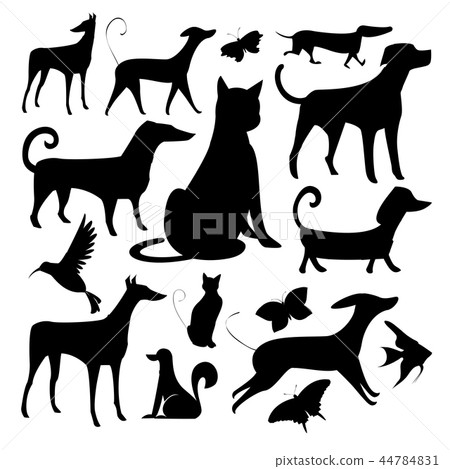 Silhouette, illustration Silhouette, illustration 44784831
