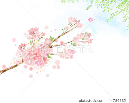 Flower, beauty, illustration Flower, beauty, illustration 44784885