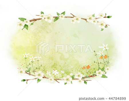 Flower, beauty, illustration 44784899
