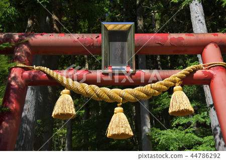 山梨縣山中湖村[Ishiwari Shrine] Otorii 44786292