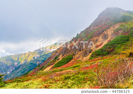 (Gunma Prefecture) Great view drive autumn leaves scenery seen from Shiga Kusatsu road 44786325
