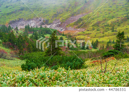 (Gunma Prefecture) Great view drive autumn leaves scenery seen from Shiga Kusatsu road 44786331