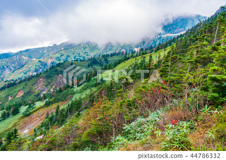 (Gunma Prefecture) Great view drive autumn leaves scenery seen from Shiga Kusatsu road 44786332