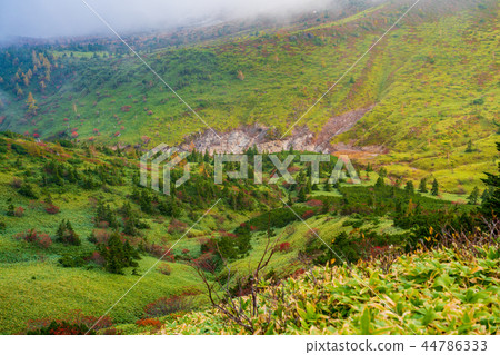 (Gunma Prefecture) Great view drive autumn leaves scenery seen from Shiga Kusatsu road 44786333
