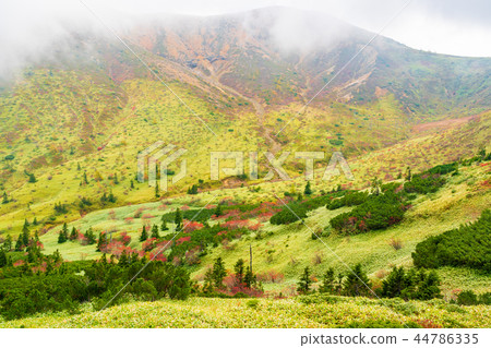 (Gunma Prefecture) Great view drive autumn leaves scenery seen from Shiga Kusatsu road 44786335