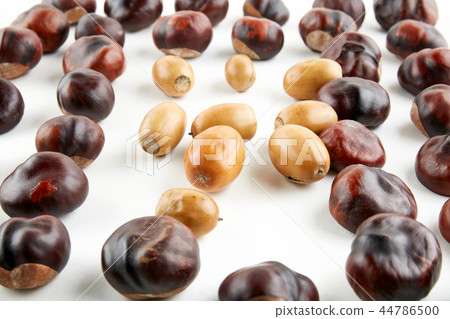Many peeled chestnuts lie on white background Many peeled chestnuts lie on white background 44786500