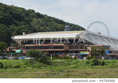 Akiruno-shi Shimoharu's autumn is 44788466