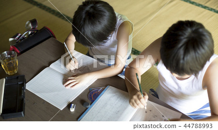 做家庭作業的男孩暑假 44788993