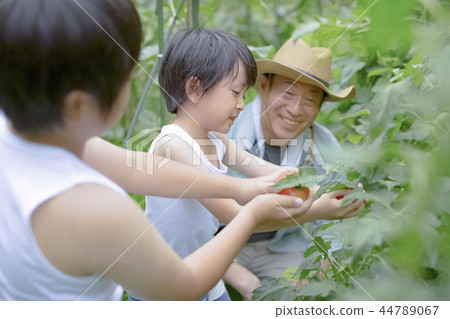 Grandpa and grandson 44789067