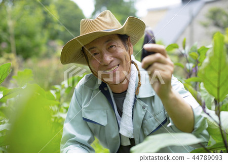 農民老人 44789093