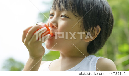 Boy in summer vacation Boy in summer vacation 44789141
