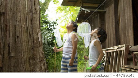 Boy in summer vacation 44789145