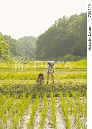 小學生在上學的路上 小學生在上學的路上 44789300