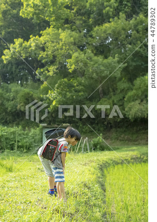 小學生在上學的路上 小學生在上學的路上 44789302