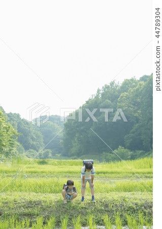 小學生在上學的路上 小學生在上學的路上 44789304