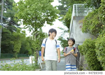 Elementary school students on the way to school Elementary school students on the way to school 44789349