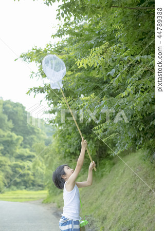 Boy in summer vacation Boy in summer vacation 44789388