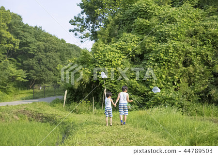 Boy in summer vacation 44789503