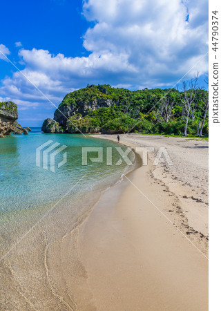 Seas of Hamahigajima 44790374