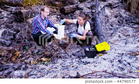 Two scientists ecologists working on place where the forest burned down Two scientists ecologists working on place where the forest burned down 44790577