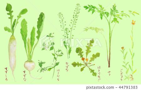 Seven herbs of spring named with green back 44791383