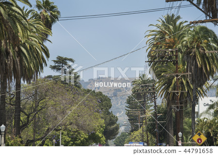 Hollywood 44791658