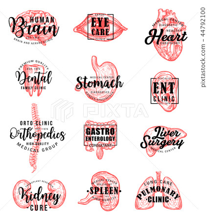 Human organs and bones sketch and lettering Human organs and bones sketch and lettering 44792100