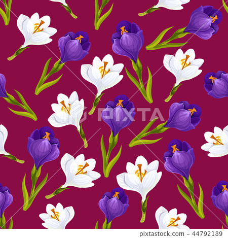 Spring crocus flower seamless pattern, vector Spring crocus flower seamless pattern, vector 44792189