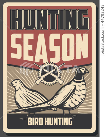Bird hunting poster. Rifle, pheasant and quail 44792245