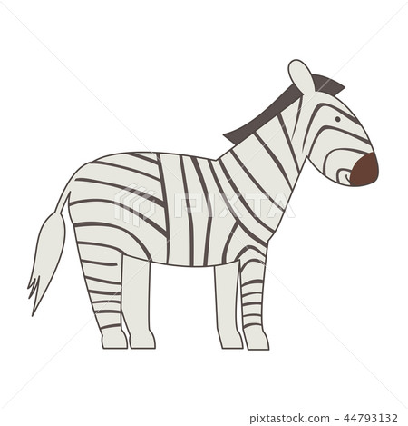 zebra 44793132