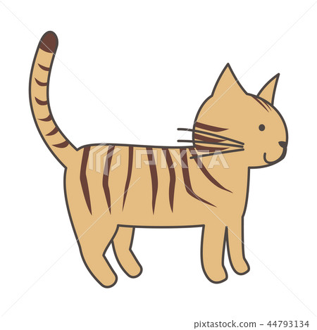 Cat  44793134