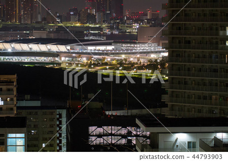 Toyosu new market Toyosu new market 44793903