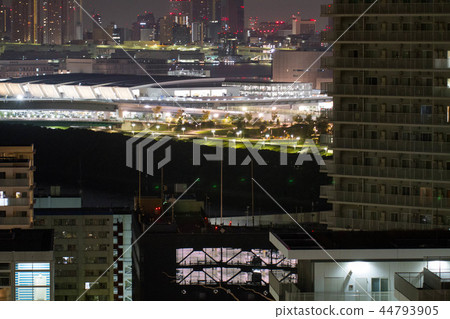 豐洲新市場 豐洲新市場 44793905