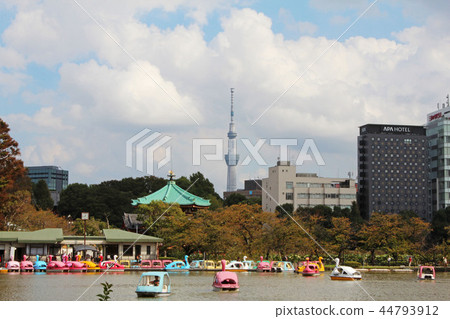 上野Shinobi池塘和天空樹 上野Shinobi池塘和天空樹 44793912