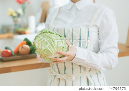 cabbage, cabbages, oleracea 44794573