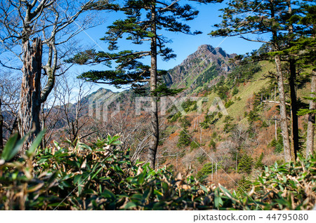 Mt. Ishizuchi of autumn leaves 44795080