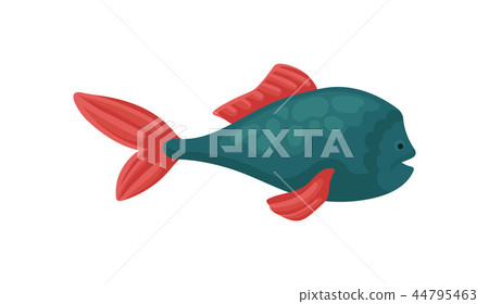 Small blue fish with bright red fins. Underwater creature. Marine animal. Sea and ocean life. Flat 44795463