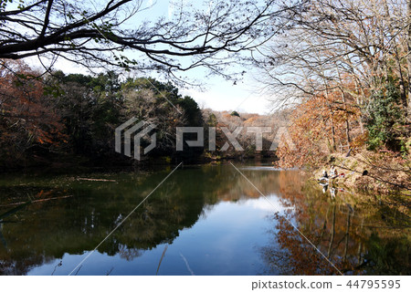 Toshiki湖 44795595