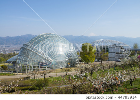 Fuefukukawa水果公園 Fuefukukawa水果公園 44795914