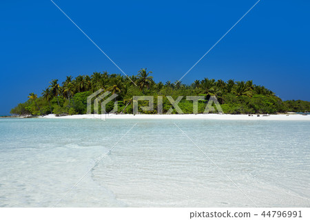 Wild Maldives island with sandy beach Wild Maldives island with sandy beach 44796991