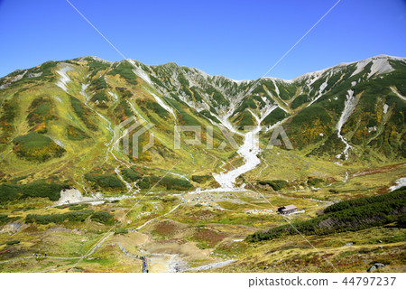 Tateyama: Thunderbirds and Thunderbirdzaka 44797237