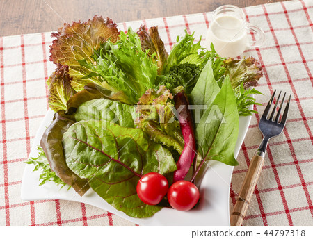 蔬菜沙拉 食物 美食 44797318