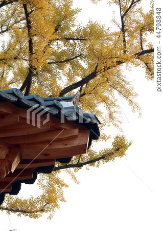 Hanok, construct, tradition 44798848