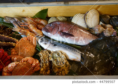 fish  44799507