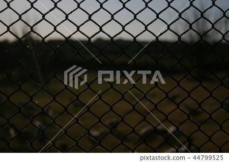 fance mesh macro photo 44799525