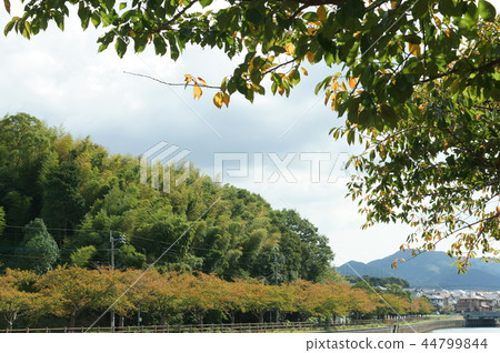 金山河畔 金山河畔 44799844