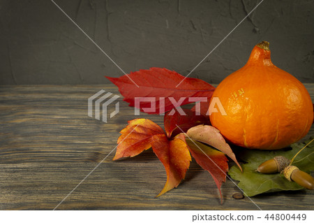 Autumn still life with leaves, pumpkin and acorn Autumn still life with leaves, pumpkin and acorn 44800449