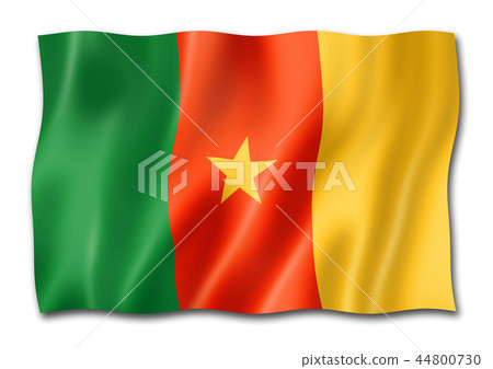 Cameroon flag isolated on white 44800730