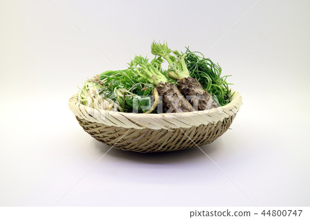 Herbs, Spring herbs, veg 44800747